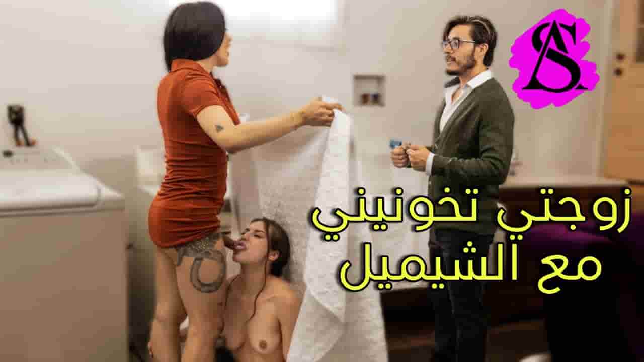 “زوجتي تخونني مع الشيميل”.. شيميل مترجم — شيميل XNXX